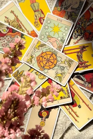 Tanuld meg a tarot titkait Veres Edittől|Vác|Testedlelked.hu