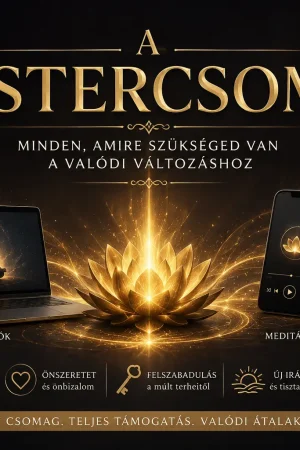 A Mestercsomag - mindent átfogó program